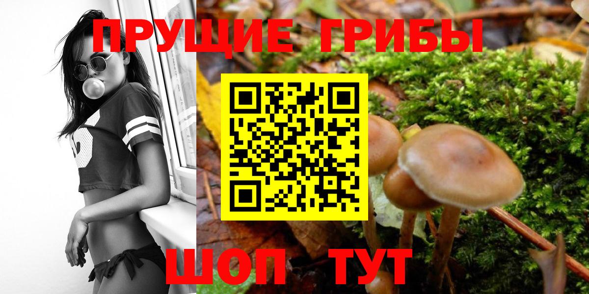 Нефтеюганск  Галлюциногенные грибы прущие грибы  Вход с VPN 